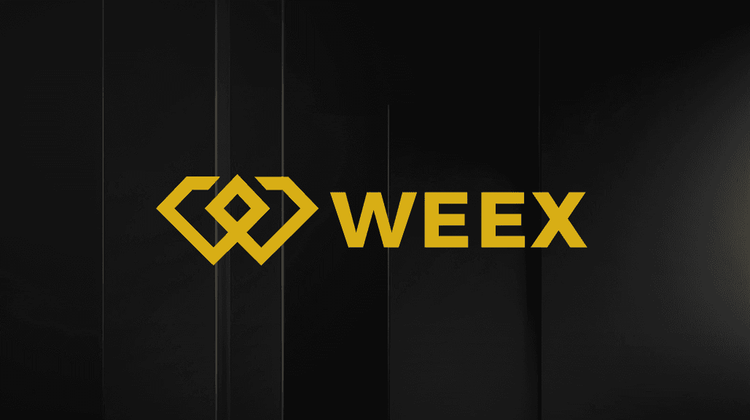 What is AssetsXYZ (AXYZ) Coin?