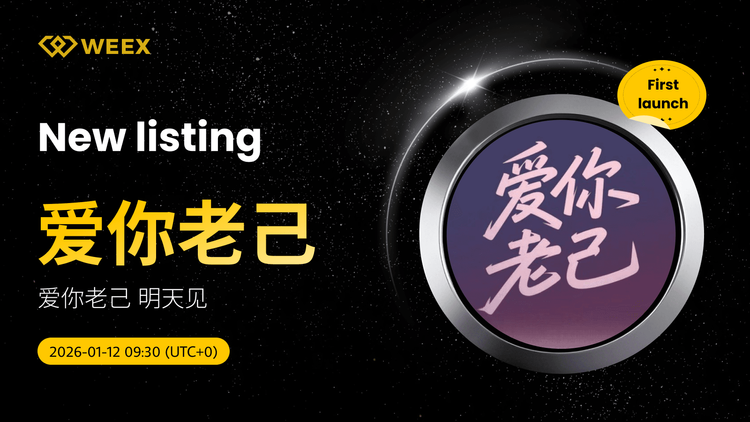 爱你老己USDT现货交易： 爱你年长的自己上市WEEX现货