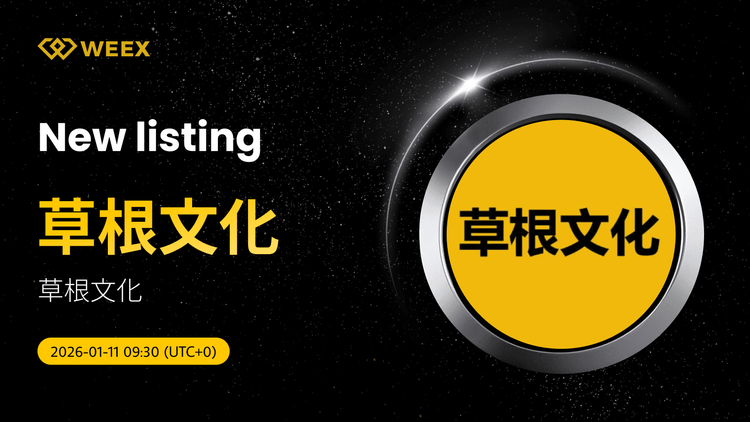 草根 USDT:草根文化(草根)在WEEX现货上市
