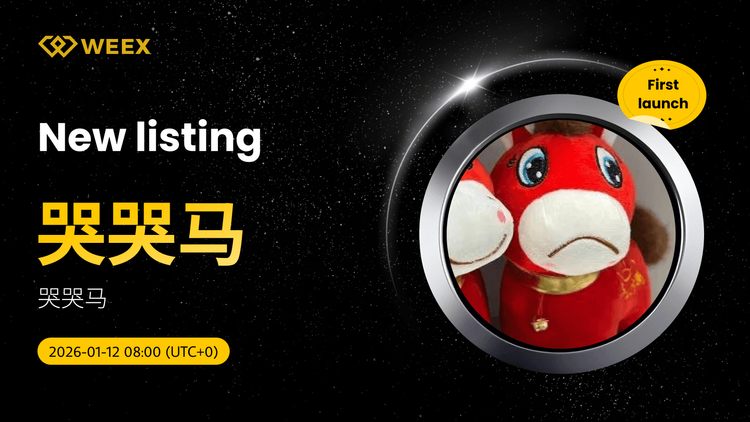哭哭马(哭马) USDT 交易对在WEEX现货列表
