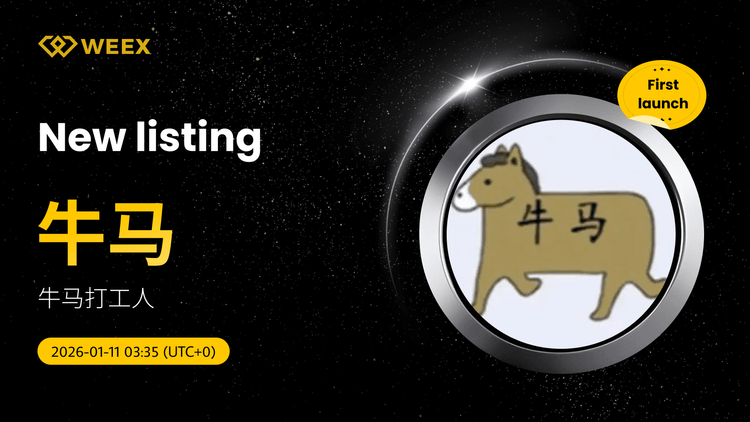 牛马USDT交易： WEEX上的牛马(牛马)硬币列表