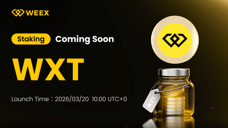 WEEX 推出 WXT 质押服务：您需要了解的内容
